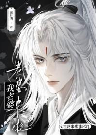 老婆我来了游戏